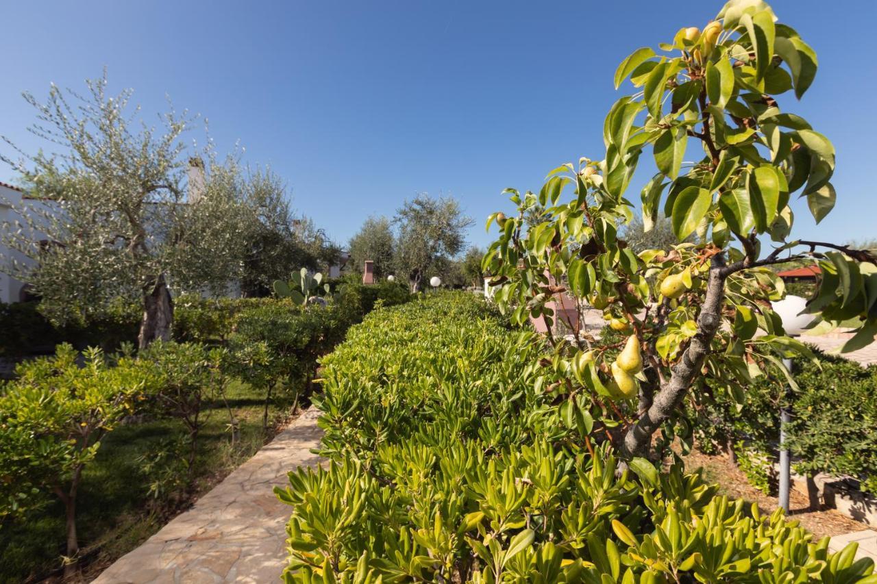 Residence Villantica Vieste Exterior foto